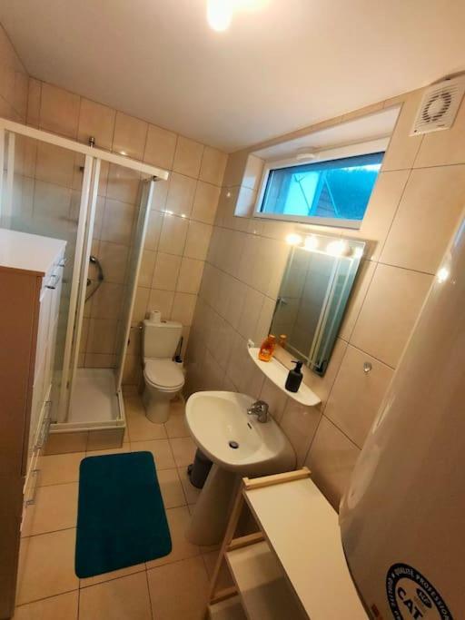 Industriel F3 Appartement Thann Exterior foto